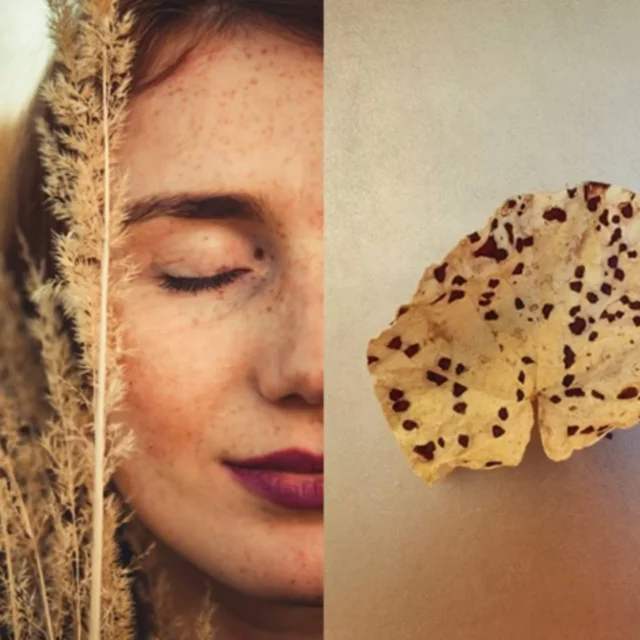 Un problème ? Une solution ! 

J’ai des taches

Voilà des soins qui agissent sur les taches liées à la mélanine ou laissées par des imperfections récentes. Ce « duo d’utilisation » peut être ajouté à votre routine de soin habituelle.

 Ponctuellement, ce rituel aidera à bronzer et débronzer plus harmonieusement.

La routine :

✨ Matin : Éclat & Hydratation
Nettoyage/Éveil : Lotion Capucine & son Eau des Beaux Jours (geste "virgule" pour exfolier en douceur et cibler les taches).
Sérum : Églantine & son Fluide Étonnant.
Hydratation : Crème Compter Fleurettes ou Crème à la Pensée Positive.
Contour des Yeux : Crème Yeux Violette Velours pour un regard frais.

🌙 Soir : Ciblage & Réparation
Ciblage Taches/Imp. : Capucine & son Eau des Beaux Jours (coton saturé).
Sérum : Églantine & son Fluide Étonnant.
Soin Nuit : Votre crème de nuit habituelle.

🧼 1-2 Fois/Semaine : Exfoliation Douce
Exfoliant Belle Mousse.
Lotion Capucine & son Eau des Beaux Jours.
Hydratation (ex: Crème Compter Fleurettes).

#RoutineSoin #Skincare #BeautéNaturelle #PeauParfaite #SoinVisage #Taches #Hydratation