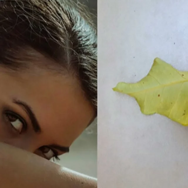 La routine idéale des yeux marqués s’effectue matin et soir de la même façon.

Pratiquez le massage avec Le Roll-on Propre à sec pendant 2 ou 3 minutes. 
La gestuelle à suivre est présentée pas à pas dans la notice vendue avec l’accessoire.

 Appliquez ensuite la Crème Yeux Violette Velours. Poursuivez avec Églantine & son Fluide Étonnant sur l’ensemble du visage et jusqu’à l’os de l’orbite.

Églantine & son Fluide Étonnant (soin à effet belle peau) a été testé en efficacité pour le contour de l’œil. Il score à 100% de satisfaction pour un contour de l’œil rafraîchi et défatigué.

La Crème Yeux Violette Velours mise sur un très haut dosage d’actifs anti-rides et décongestionnants pour mieux cibler les marques de la patte d’oie, entre les sourcils et même le front. Vous aimerez son contact frais et son fini ultra doux. 

Le Roll-on Propre est un outil formidable pour décongestionner grâce à la gestuelle de shiatsu associée et son toucher froid.

Pssssss: la Crème Yeux Violette Velours passe à -50% en ce moment ! 

#MissFerling #eyecaretips #violette #actifcosmetic #cernes #eclatduteint